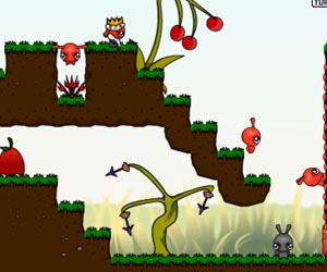  Play Dibbles 