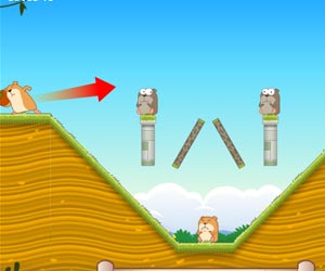  Play Marmoot 