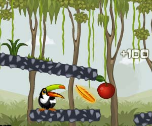  Play Toucan in The Jungle