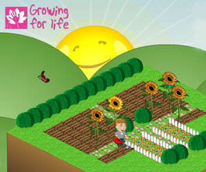  Play Grow for Life