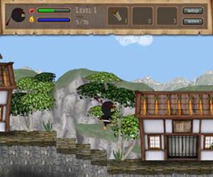  Play Ninja Master