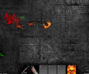  Play Rage Arena