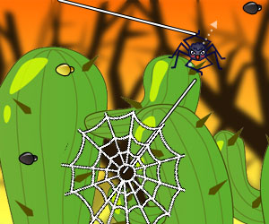  Play Spider Web