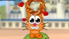 Cat around Asia