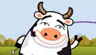 Cow A Boom