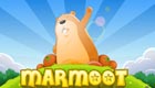 Marmoot 