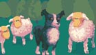 Sheepwalk